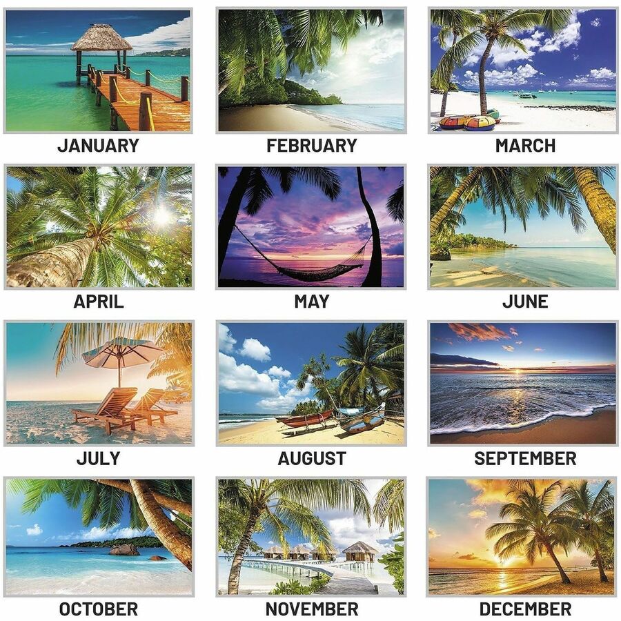 At-A-Glance Tropical Escape Wall Calendar - Medium Size - Julian Dates - Monthly - 12 Month - January 2024 - December 2024 - 1 Week, 1 Month Single Page Layout - 15" x 12" White Sheet - 2" x 1" Block - Wire Bound - Blue - Chipboard, Paper - Hanging L