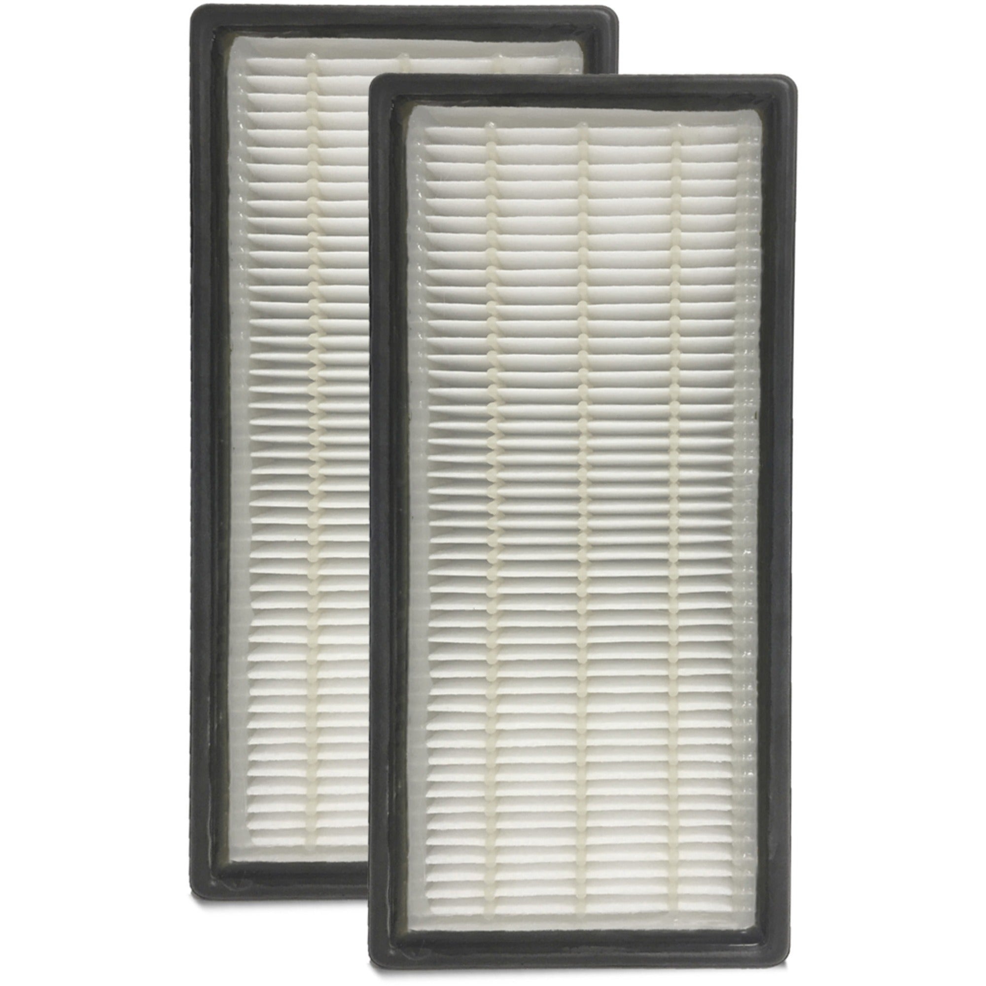 HEPAClean Replacement Filter, 5 x 10.2, 2/Pack