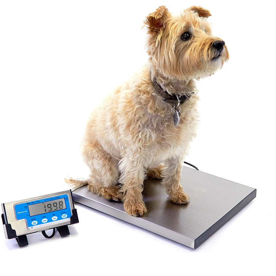 Brecknell Portable Shipping Scale - 400 lb / 181 kg Maximum Weight Capacity - White