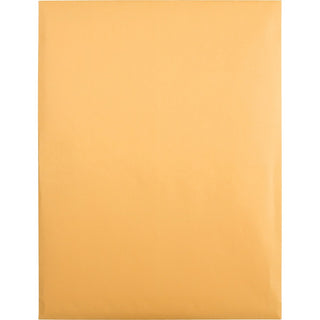 High Bulk Redi-Strip Catalog Envelope, #13 1/2, Cheese Blade Flap, Redi-Strip Adhesive Closure, 10 x 13, Brown Kraft, 250/CT