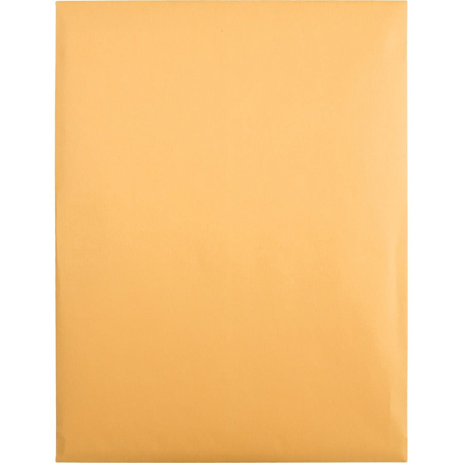 High Bulk Redi-Strip Catalog Envelope, #13 1/2, Cheese Blade Flap, Redi-Strip Adhesive Closure, 10 x 13, Brown Kraft, 250/CT