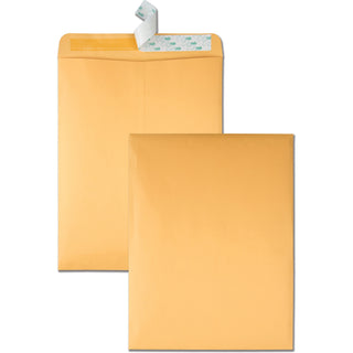 High Bulk Redi-Strip Catalog Envelope, #13 1/2, Cheese Blade Flap, Redi-Strip Adhesive Closure, 10 x 13, Brown Kraft, 250/CT
