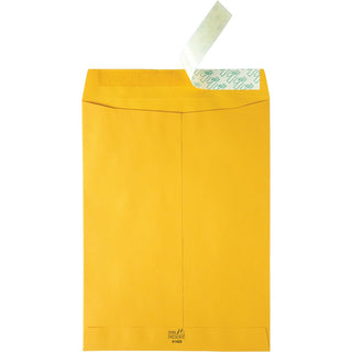 High Bulk Redi-Strip Catalog Envelope, #10 1/2, Cheese Blade Flap, Redi-Strip Adhesive Closure, 9 x 12, Brown Kraft, 250/CT