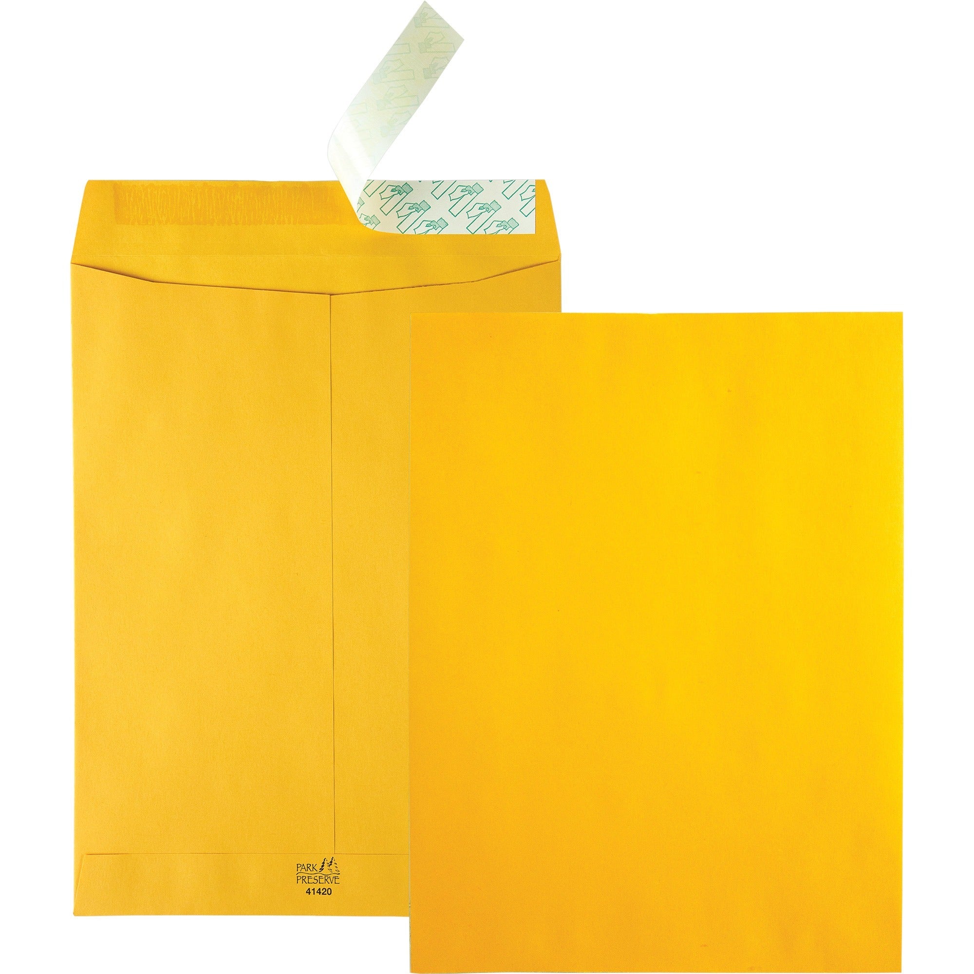 High Bulk Redi-Strip Catalog Envelope, #10 1/2, Cheese Blade Flap, Redi-Strip Adhesive Closure, 9 x 12, Brown Kraft, 250/CT