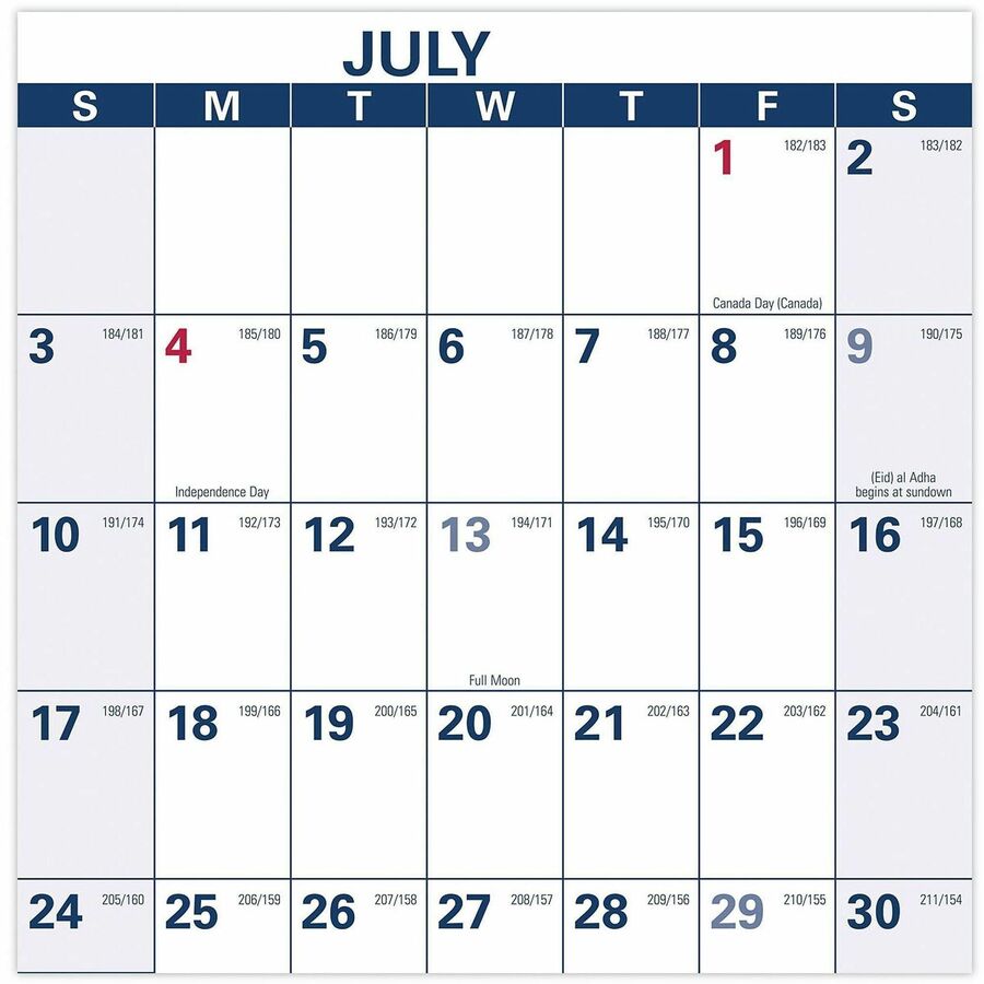 Academic Erasable Reversible Extra Large Wall Calendar, 48 x 32, White/Blue/Red, 12 Month (July to June): 2023 to 2024