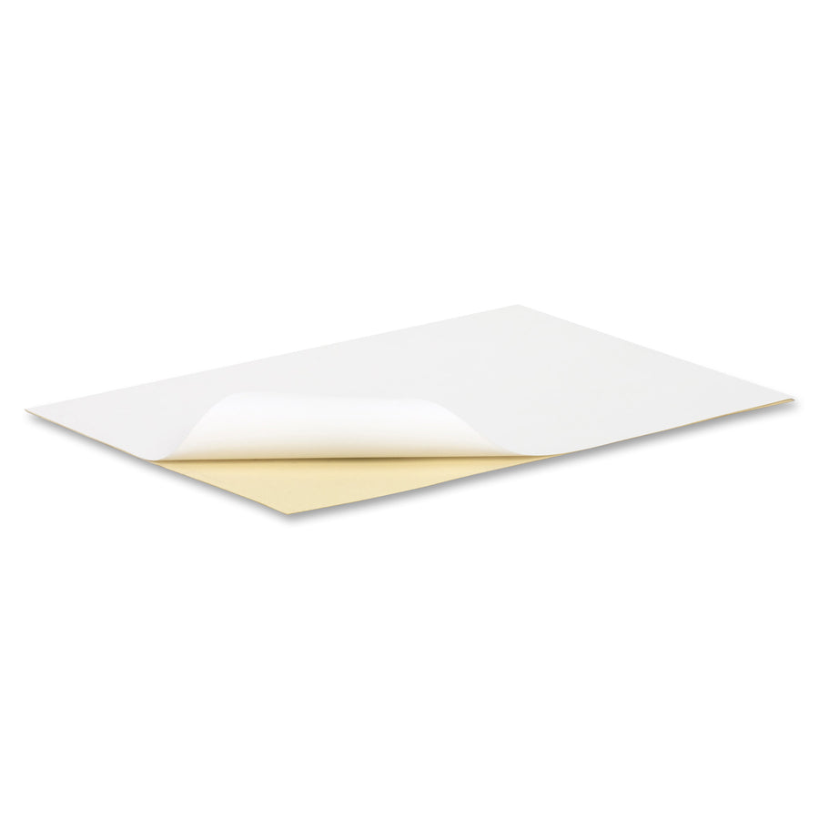 NCR Paper Xero/Form II Carbonless Paper Sheets - White/Yellow - Letter - 8 1/2" x 11" - Smooth - 500 / Pack - Pre-punched, Flexible, Precollated - White, Canary - 