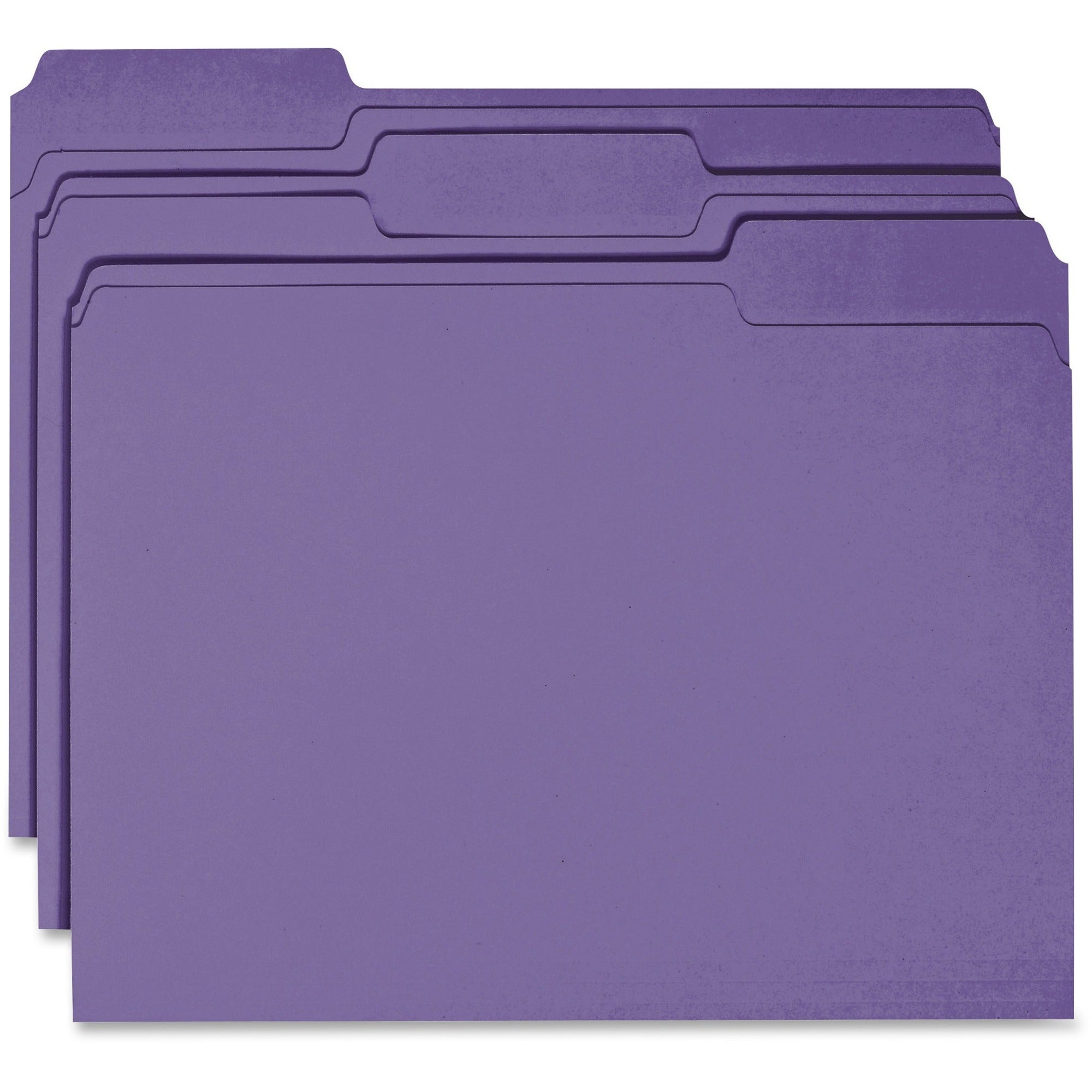 Business Source 1/3 Tab Cut Recycled Top Tab File Folder - Purple - 10% Recycled - 100 / Box - 