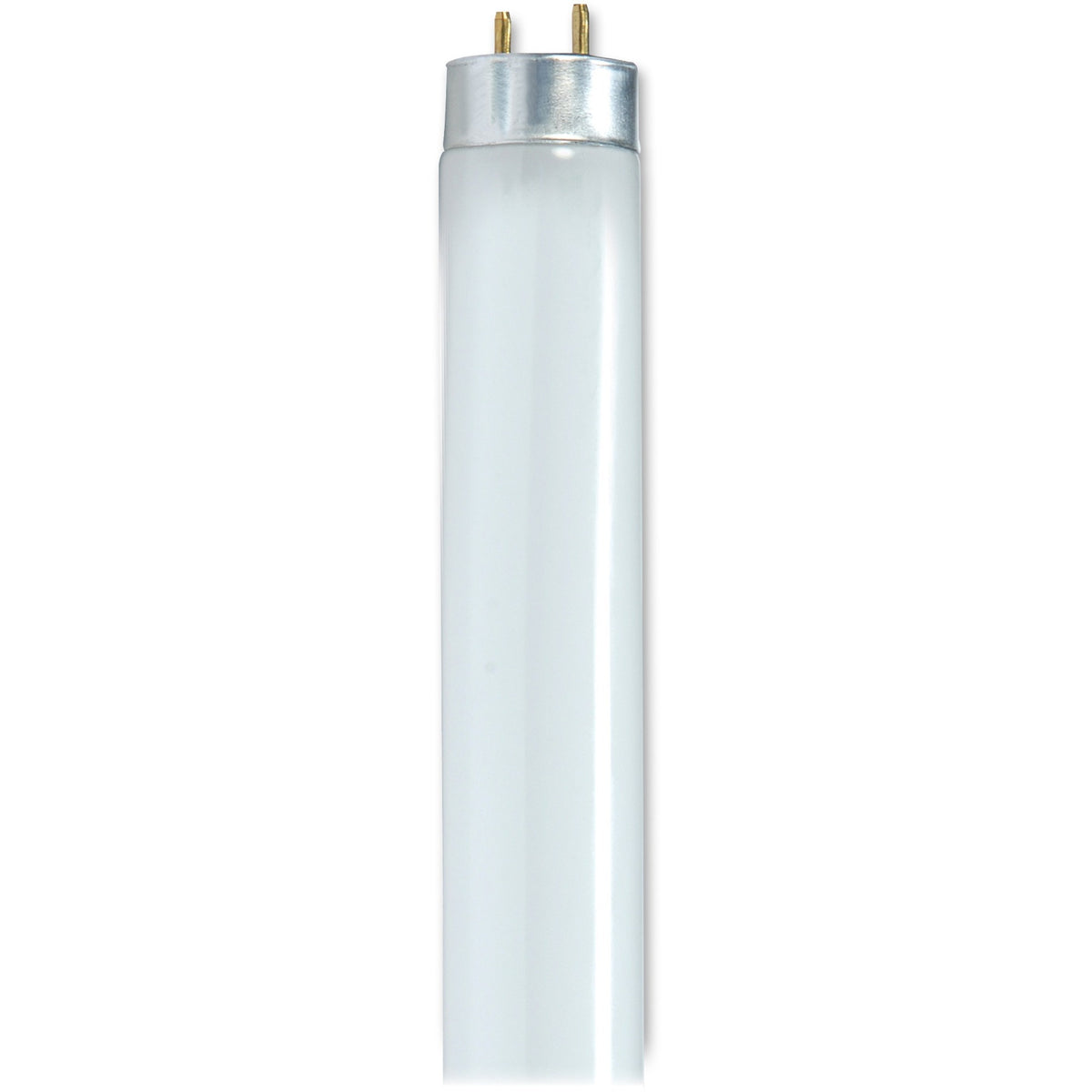 Satco 32-watt T8 Fluorescent Bulbs - 32 W - 120 V AC - T8 Size - Cool White Light Color - G13 Base - 24000 Hour - 6920.3degF (3826.8degC) Color Temperature - 85 CRI - 30 / Carton