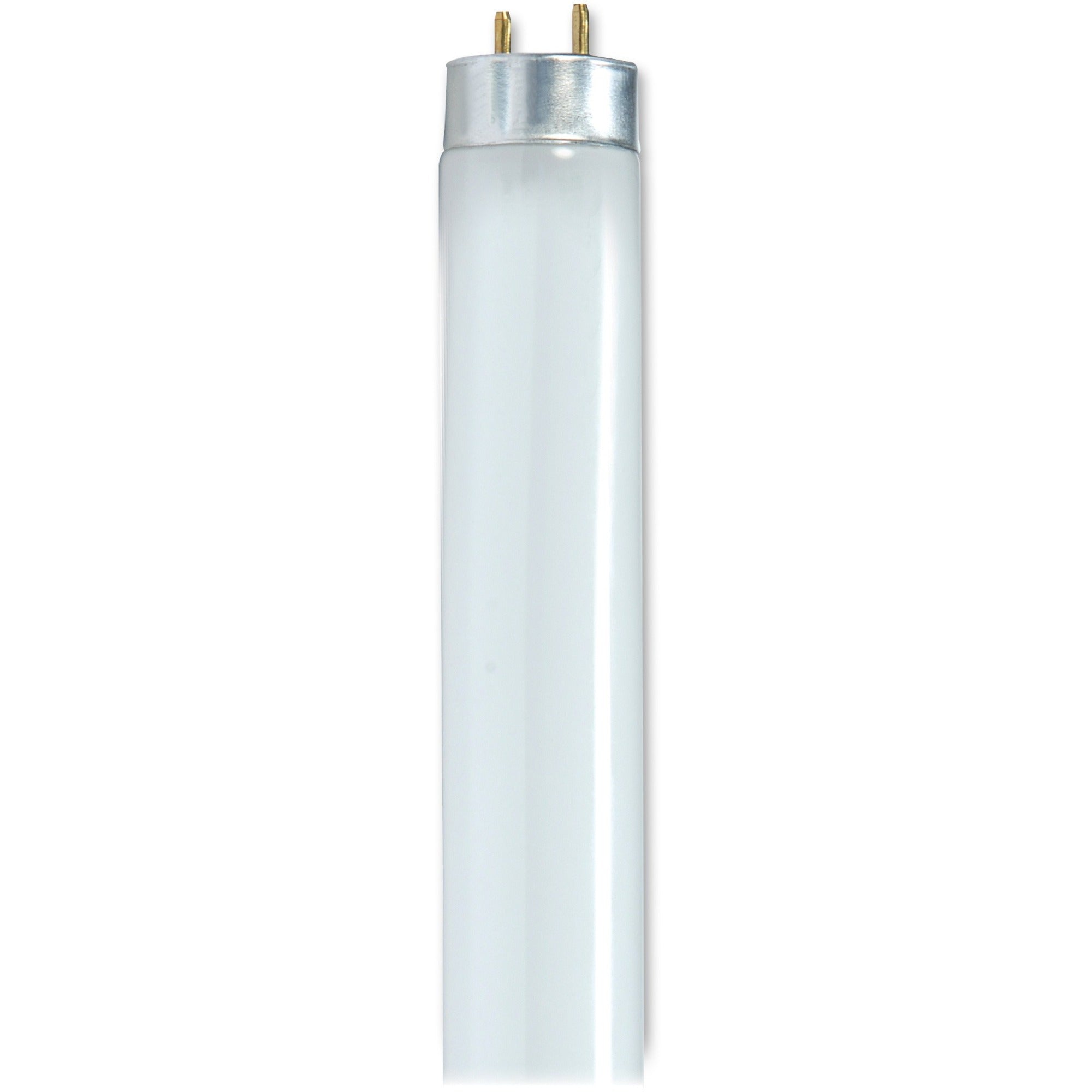 Satco 25-watt 48" T8 Fluorescent Bulb - 25 W - 120 V AC - 2400 lm - T8 Size - Cool White Light Color - G13 Base - 30000 Hour - 6920.3degF (3826.8degC) Color Temperature - 85 CRI - Energy Saver - 30 / Carton