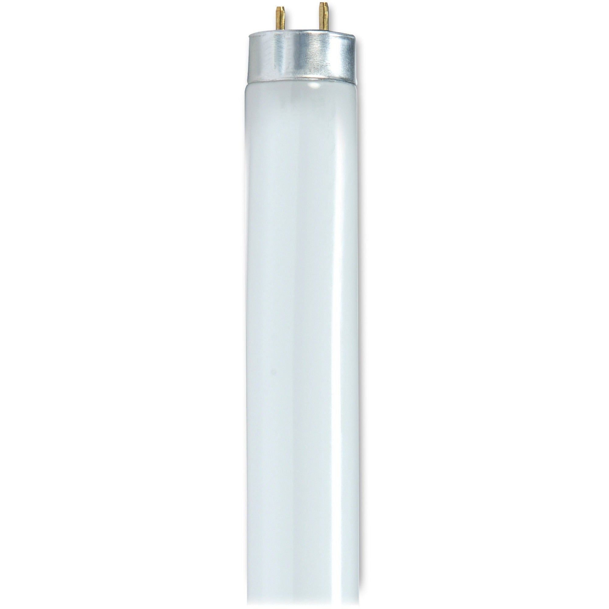 Satco 25-watt 48" T8 Fluorescent Bulb - 25 W - 120 V AC - 2400 lm - T8 Size - Cool White Light Color - G13 Base - 30000 Hour - 6920.3degF (3826.8degC) Color Temperature - 85 CRI - Energy Saver - 30 / Carton - 
