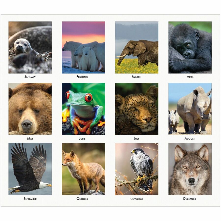 House of Doolittle EarthScapes Wildlife Desk Pad - Academic - Julian Dates - Monthly - 12 Month - January 2024 - December 2024 - 1 Month Single Page Layout - 17" x 22" Sheet Size - 2.25" x 2" Block - Desktop - Multi - Leatherette - Black CoverClass S - 