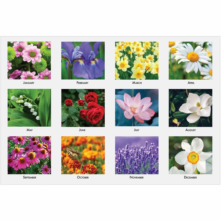 House of Doolittle EarthScapes Flowers Photo Wall Calendar - Julian Dates - Monthly - 12 Month - January 2024 - December 2024 - 1 Month Single Page Layout - 2.13" x 1.50" Block - Wire Bound - 16.5" Height x 12" Width - Reference Calendar, Eyelet - 1 - 3