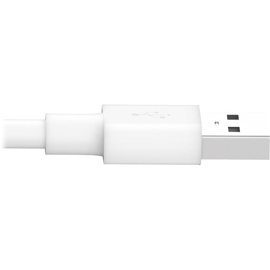 tripp-lite-by-eaton-usb-a-to-lightning-sync-charge-cable-m-m-mfi-certified-white-10-ft-3-m-10-ft-lightning-usb-data-transfer-cable-for-iphone-ipod-ipad-chromebook-first-end-1-x-usb-type-a-male-second-end-1-x-8-pin-lightning-male_trpm100010wh - 4