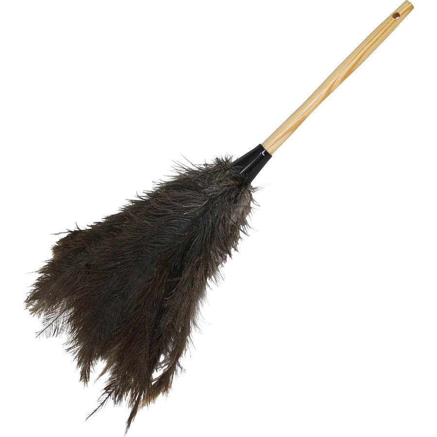 Genuine Joe Feather Duster - 12 / Carton - Brown