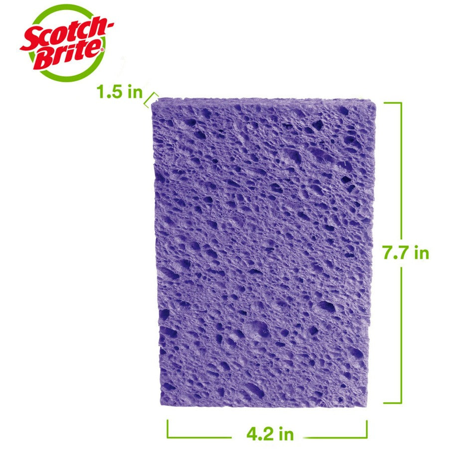 Scotch-Brite Large StayFresh Sponge - 1.6" Height x 7.9" Width x 1.5" Depth - 12/Carton - Cellulose - Assorted