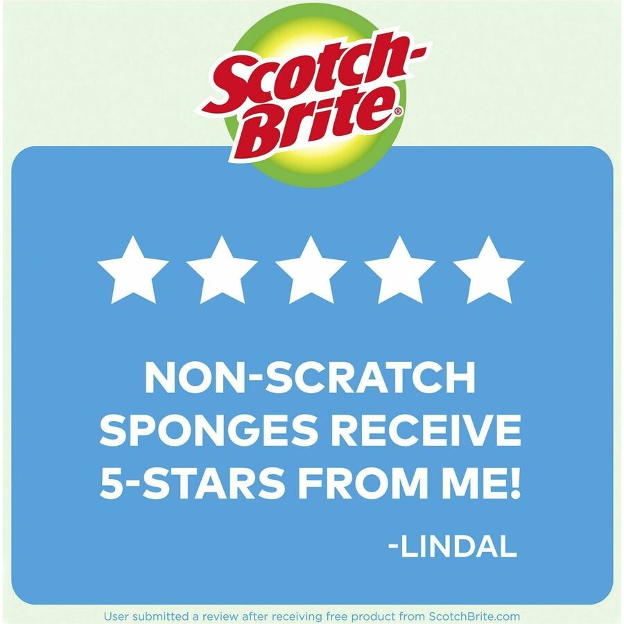 Scotch-Brite No Scratch Scrub Sponges - 2.8" Height x 4.5" Width x 4.5" Length x 590 mil Thickness - 8/Carton - Blue