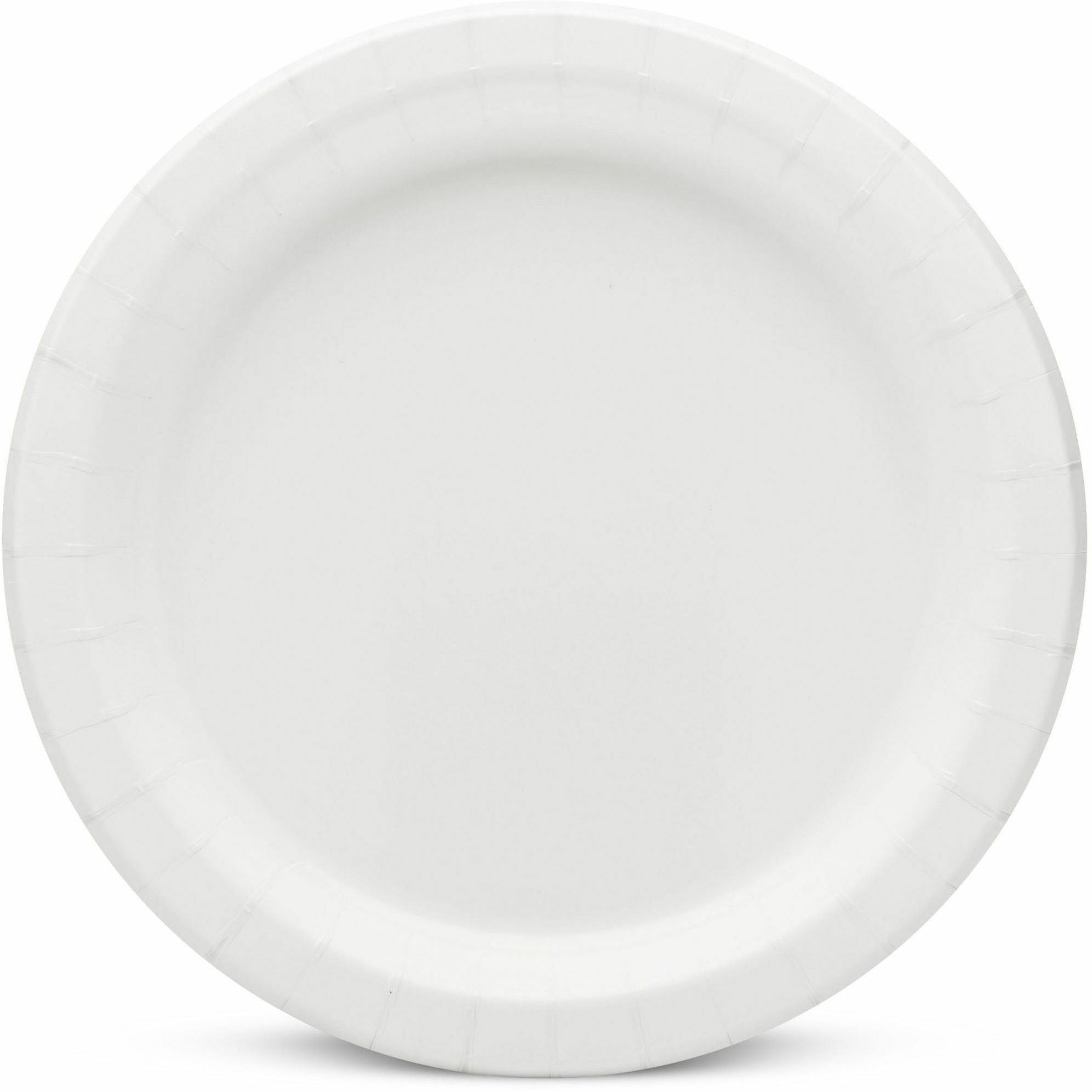 AJM 9" Dinnerware Paper Plates - 125 / Pack - Disposable - White - Paper Body - 4 / Carton - 2