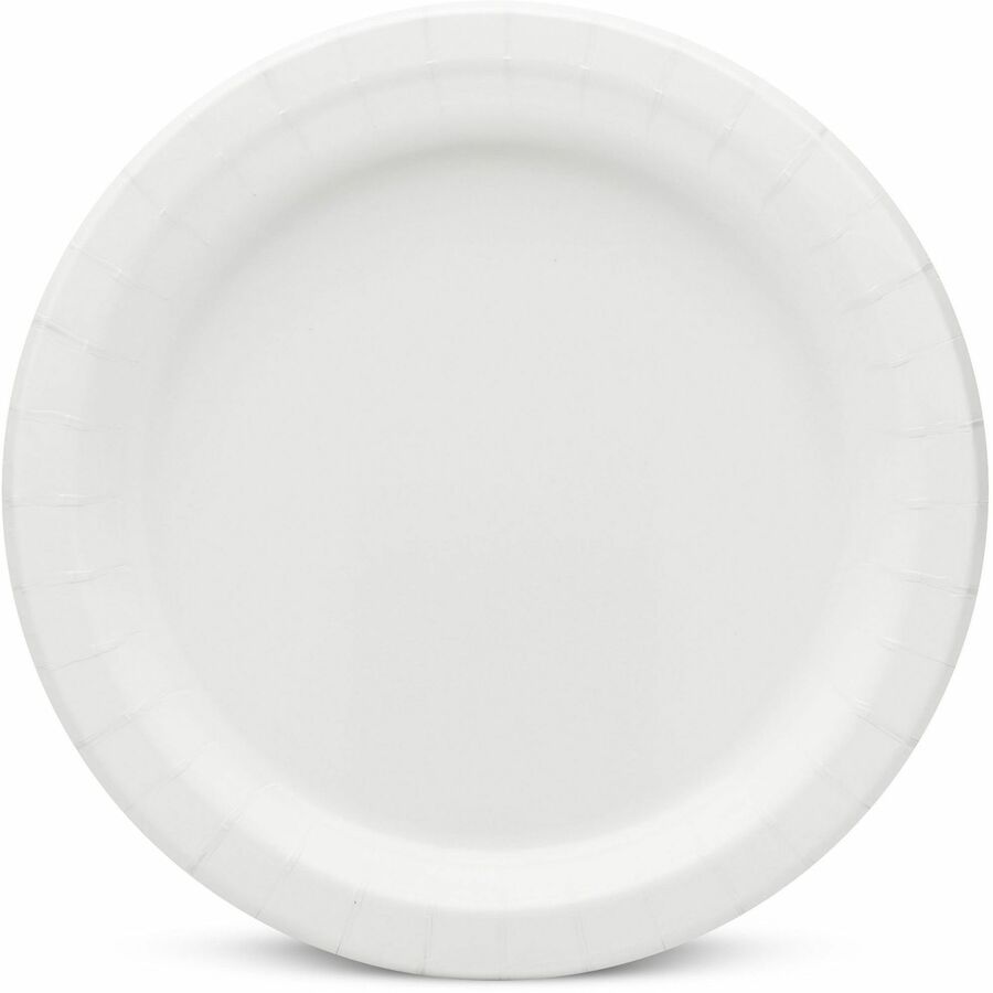 AJM 9" Dinnerware Paper Plates - 125 / Pack - Disposable - White - Paper Body - 4 / Carton