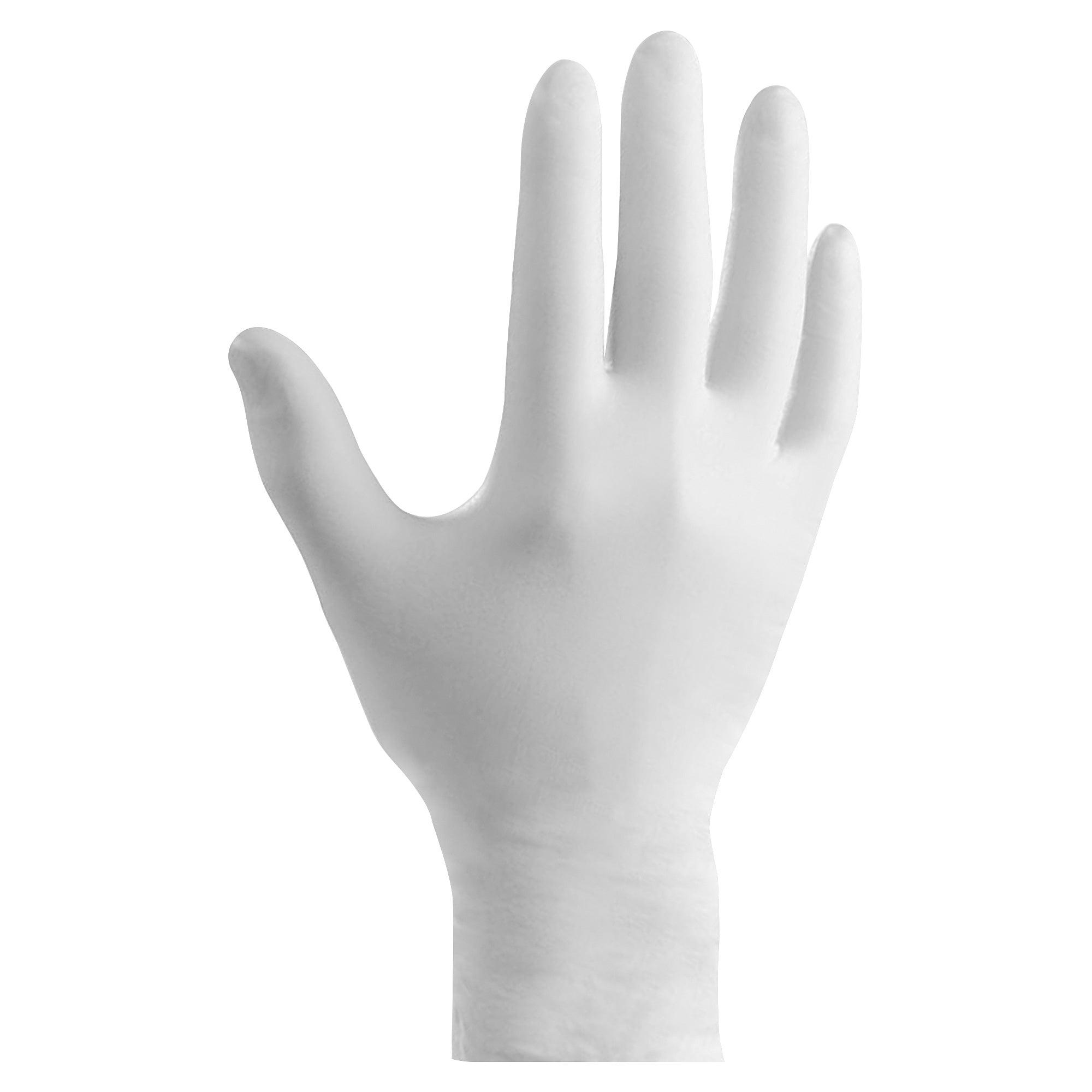 Ansell Health Single-use Powder-free PVC Gloves - Clear, White - Latex-free, Durable, Long Lasting - For Laboratory Application, Manufacturing, Chemical, Food Handling, Industrial - 100/Box - 1 Each - 9" Glove Length