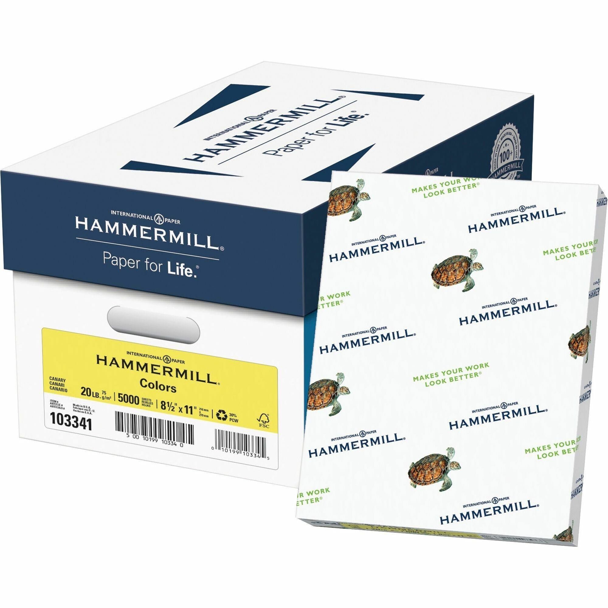 Colors Print Paper, 20 lb Bond Weight, 8.5 x 11, Canary, 500 Sheets/Ream, 10 Reams/Carton