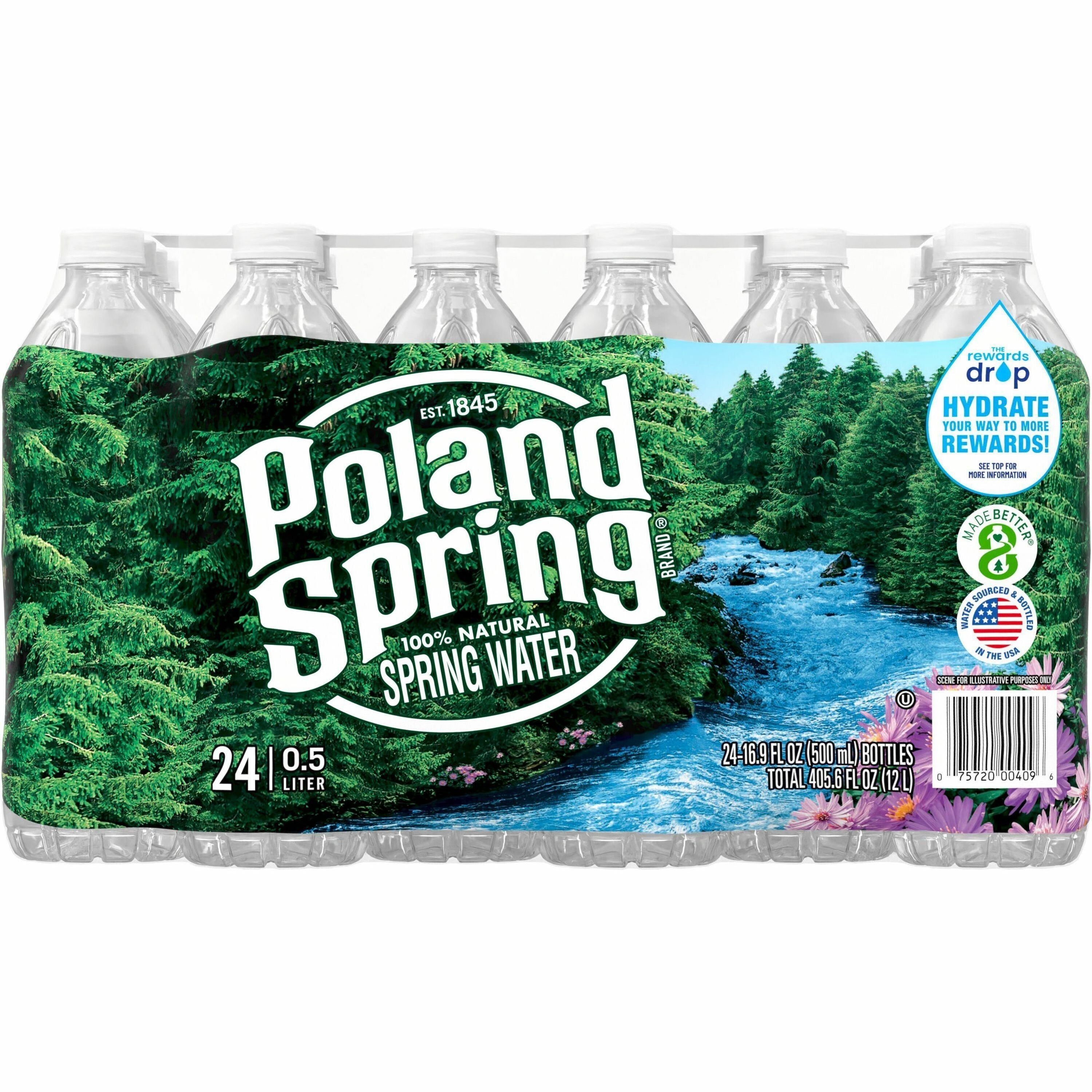 Poland Spring Bottled Spring Water - Ready-to-Drink - 16.91 fl oz (500 mL) - Bottle - 24 / Carton