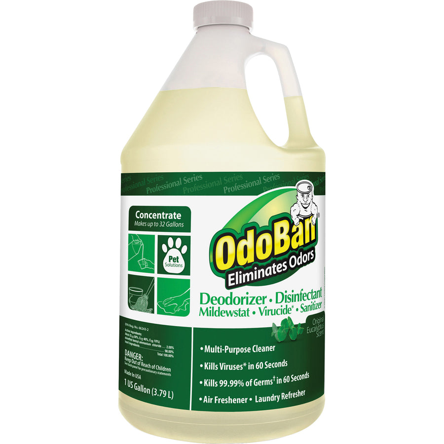 OdoBan Eucalyptus Multi-purpose Deodorizer Disinfectant Concentrate - Concentrate - 128 fl oz (4 quart) - Eucalyptus Scent - 4 / Carton - Deodorize, Disinfectant, Residue-free - Green - 2