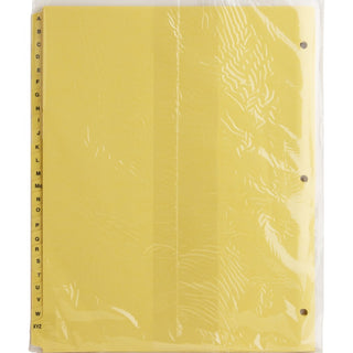 Business Source A-Z Clear Plastic Tab Index Dividers - Printed Tab(s) - Character - A-Z - 25 Tab(s)/Set - 8.5" Divider Width x 11" Divider Length - Letter - 3 Hole Punched - Buff Divider - Buff Plastic Tab(s) - 25 / Set