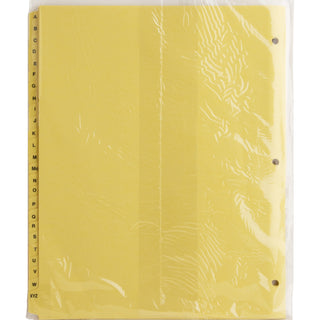 business-source-a-z-clear-plastic-tab-index-dividers-printed-tabs-character-a-z-25-tabs-set-85-divider-width-x-11-divider-length-letter-3-hole-punched-buff-divider-buff-plastic-tabs-25-set_bsn01806 - 2