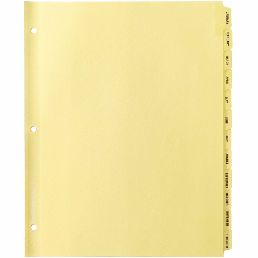 Business Source Monthly Clear Plastic Tab Index Dividers - Printed Tab(s) - Month - January-December - 12 Tab(s)/Set - 8.5" Divider Width x 11" Divider Length - Letter - 3 Hole Punched - Buff Buff Paper Divider - Buff Plastic Tab(s) - 12 / Set