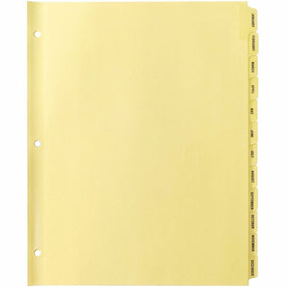 Business Source Monthly Clear Plastic Tab Index Dividers - Printed Tab(s) - Month - January-December - 12 Tab(s)/Set - 8.5" Divider Width x 11" Divider Length - Letter - 3 Hole Punched - Buff Buff Paper Divider - Buff Plastic Tab(s) - 12 / Set