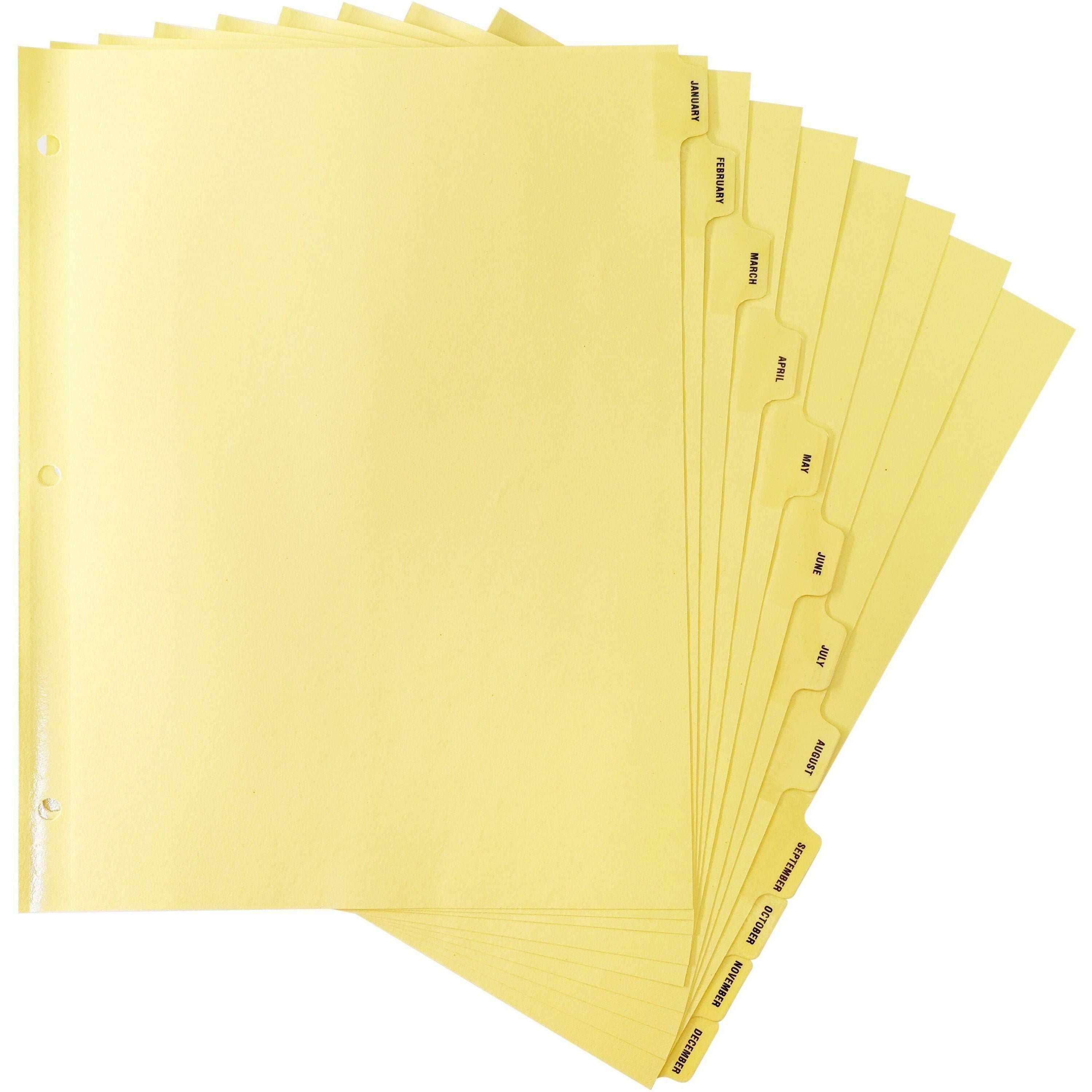 Business Source Monthly Clear Plastic Tab Index Dividers - Printed Tab(s) - Month - January-December - 12 Tab(s)/Set - 8.5" Divider Width x 11" Divider Length - Letter - 3 Hole Punched - Buff Buff Paper Divider - Buff Plastic Tab(s) - 12 / Set