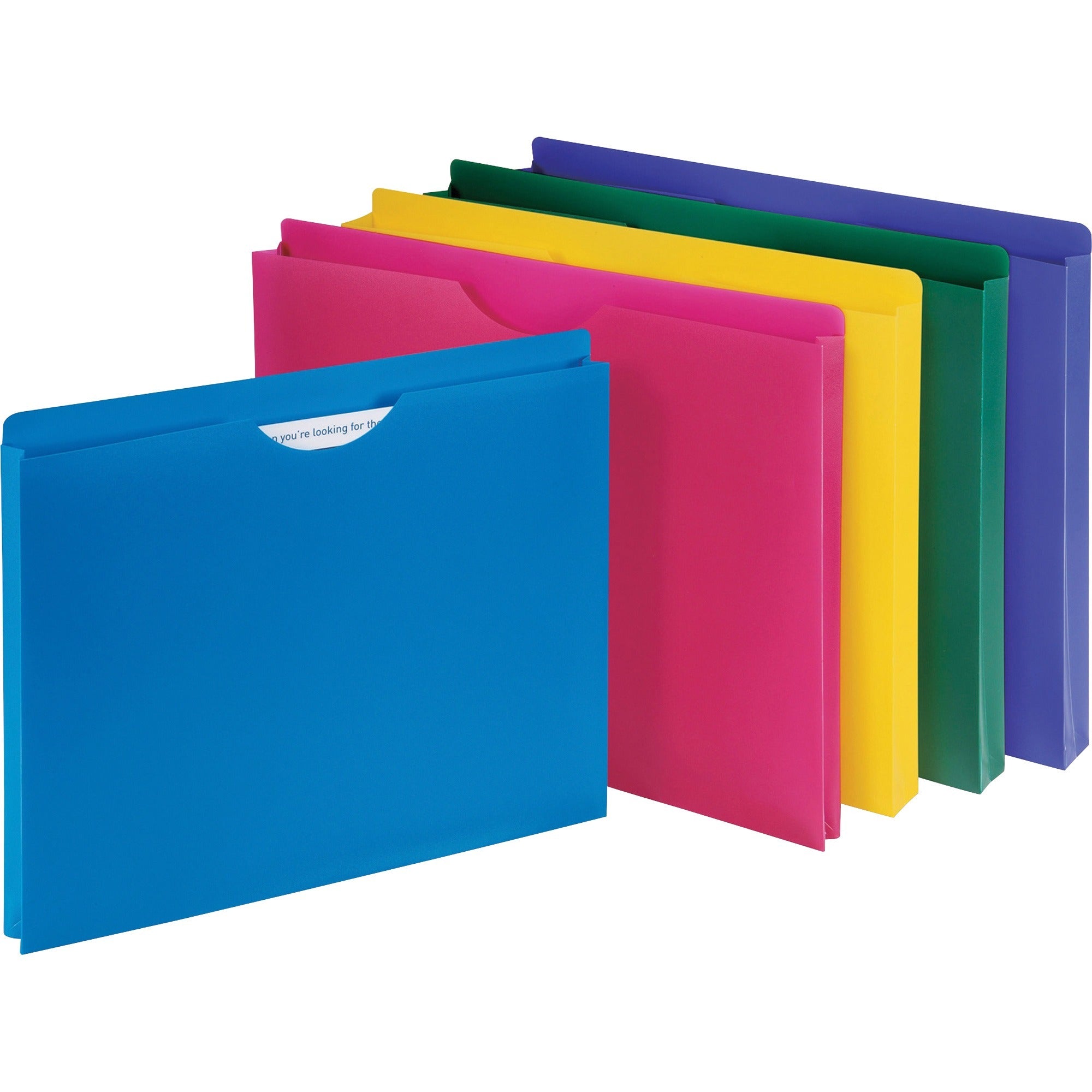 business-source-straight-tab-cut-letter-file-jacket-8-1-2-x-11-1-expansion-assorted-10-pack_bsn44435 - 1