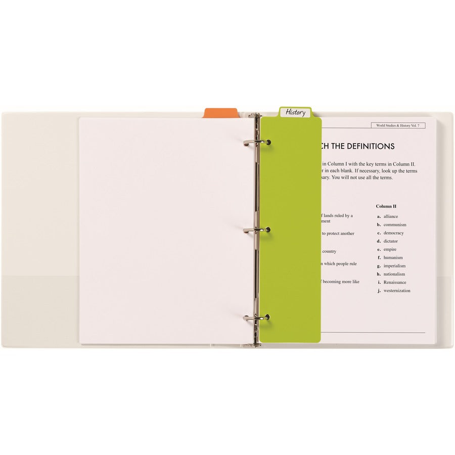 Tabbed Snap-In Bookmark Plastic Dividers, 5-Tab, 11.5 x 3, Assorted, 1 Set