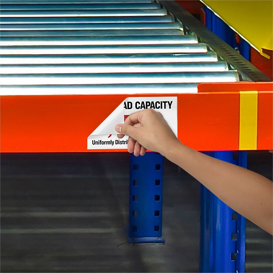 Avery Surface Safe ID Label - 3 1/4" Width x 8 3/8" Length - Removable Adhesive - Rectangle - Laser, Inkjet - White - Film - 3 / Sheet - 50 Total Sheets - 150 Total Label(s) - 5 - Water Resistant