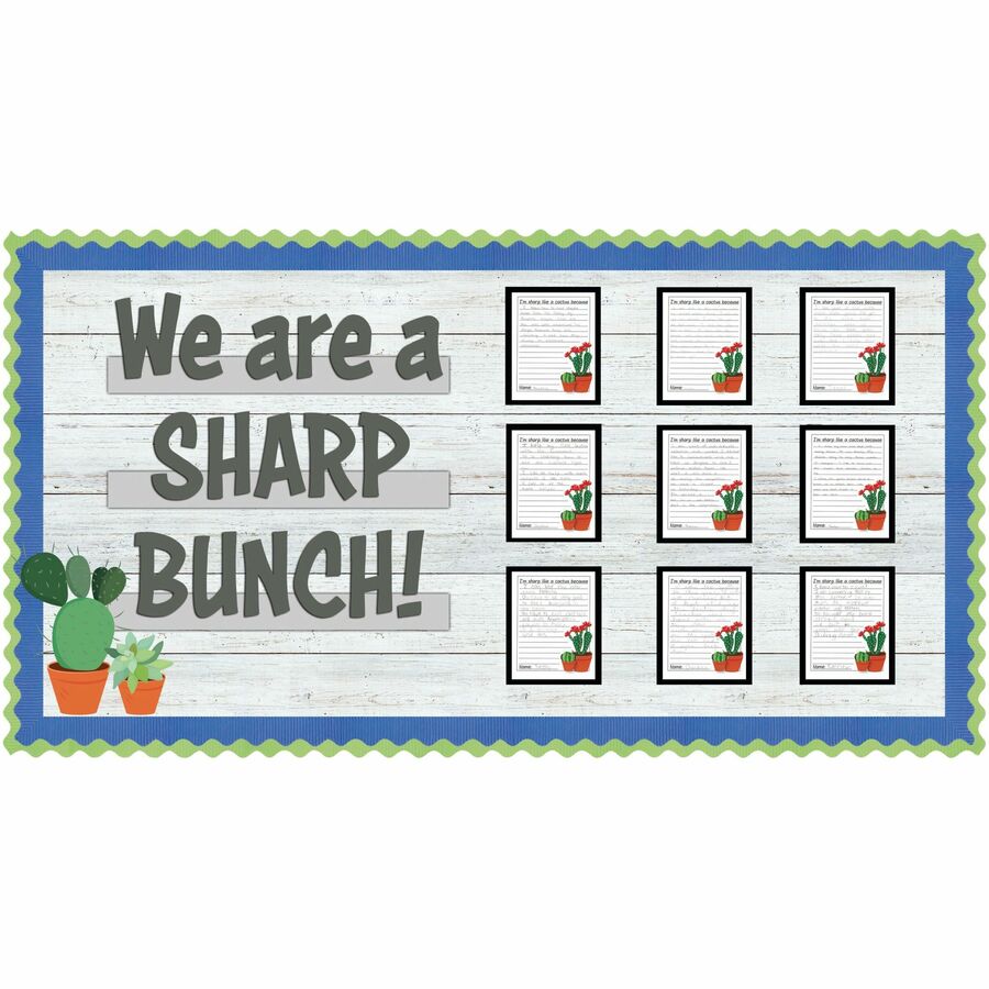 Fadeless Shiplap Design Board Art Paper - Fun and Learning, Classroom, Bulletin Board, Display, Craft, Art, Table Skirting, Decoration - 48"Height x 2"Width x 50 ftLength - 1 / Roll - Assorted - 5