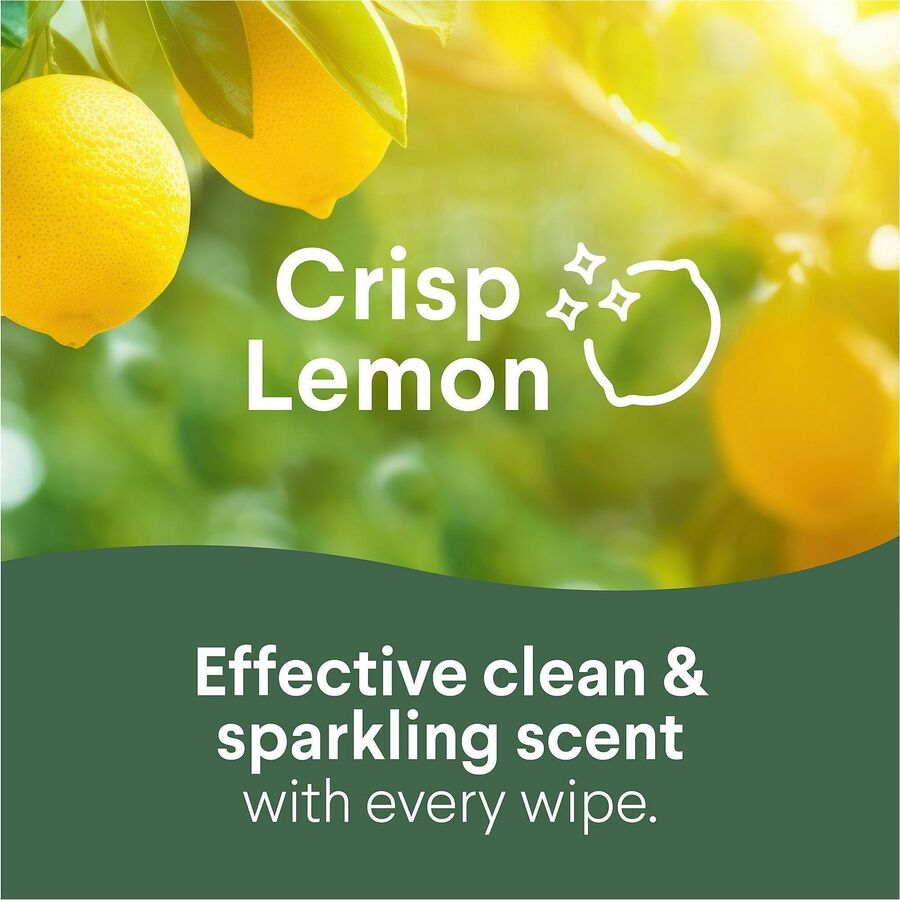 Clorox Disinfecting Bleach Free Cleaning Wipes Value Pack - 75 / Canister - 240 / Bundle - Easy to Use, Bleach-free, Antibacterial - White