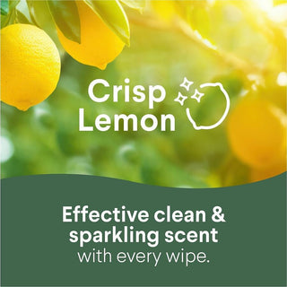 Clorox Disinfecting Bleach Free Cleaning Wipes Value Pack - 75 / Canister - 240 / Bundle - Easy to Use, Bleach-free, Antibacterial - White