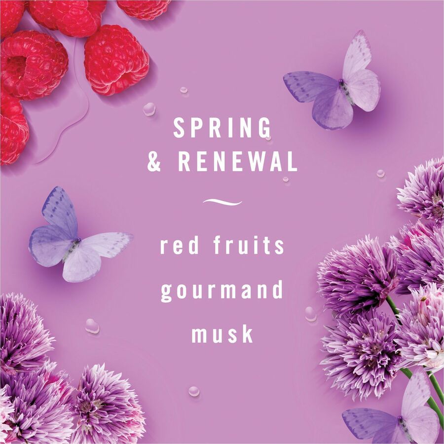 AIR, Spring and Renewal, 8.8 oz Aerosol Spray, 2/Pack, 6 Pack/Carton