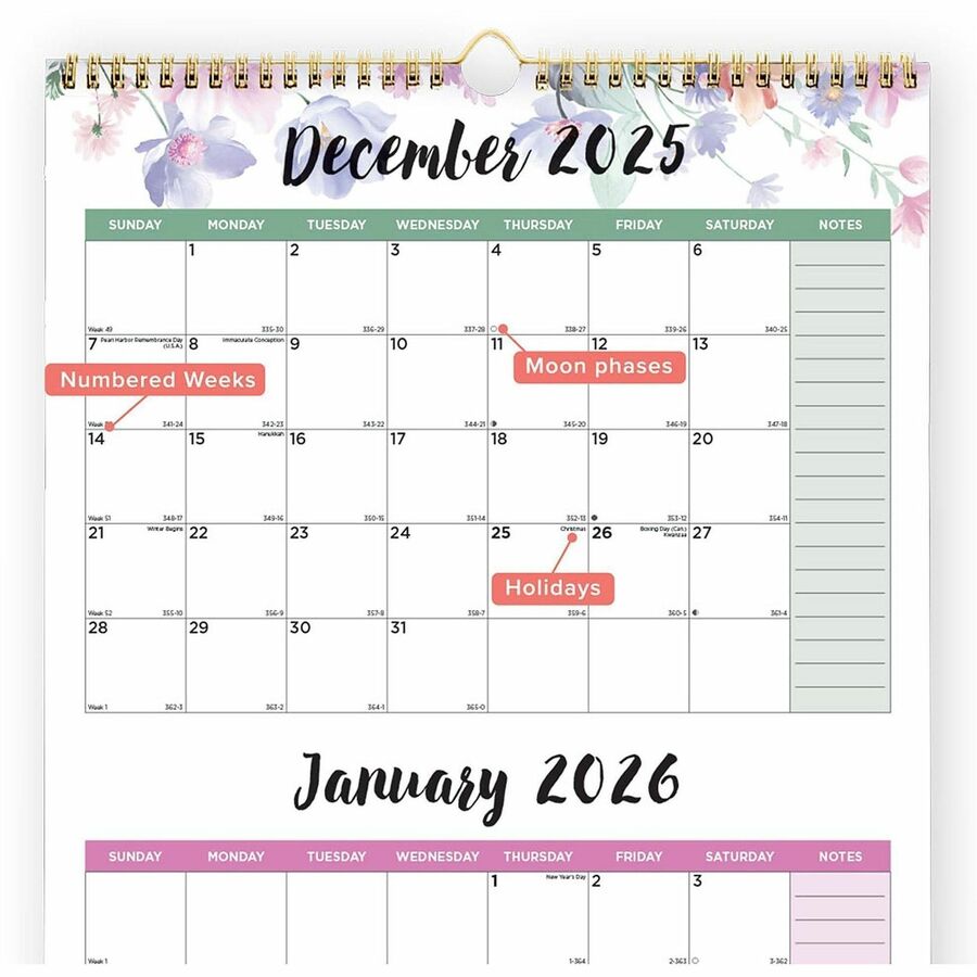 3-Month Wall Calendar, Colorful Leaves Artwork, 12.25 x 27, White/Multicolor Sheets, 14-Month (Dec to Jan): 2024