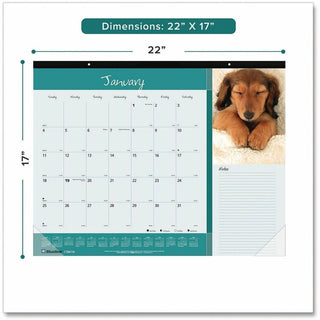 Pets Collection Monthly Desk Pad, Puppies Photography, 22 x 17, Black Binding, Clear Corners, 12-Month (Jan to Dec): 2024
