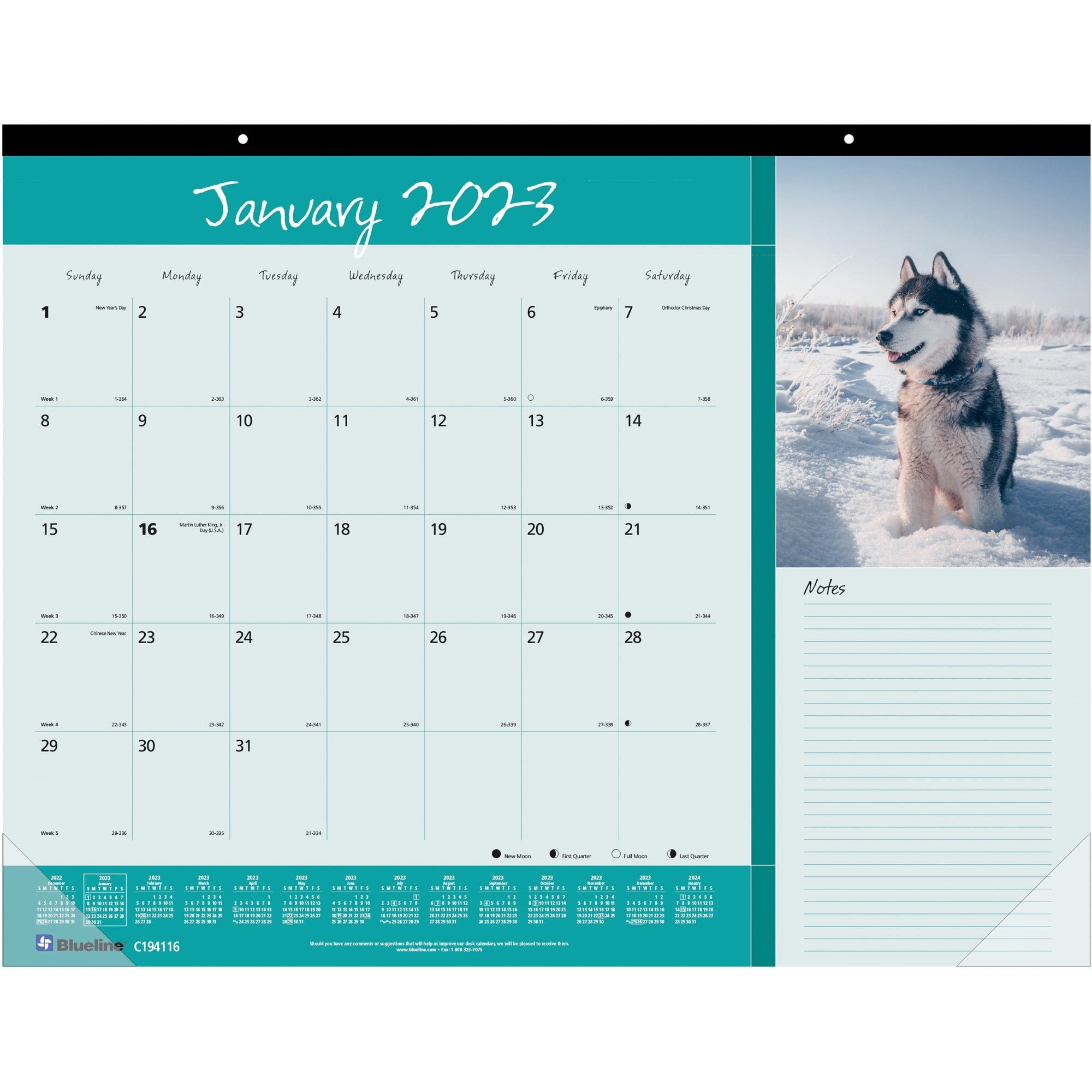 Pets Collection Monthly Desk Pad, Puppies Photography, 22 x 17, Black Binding, Clear Corners, 12-Month (Jan to Dec): 2024