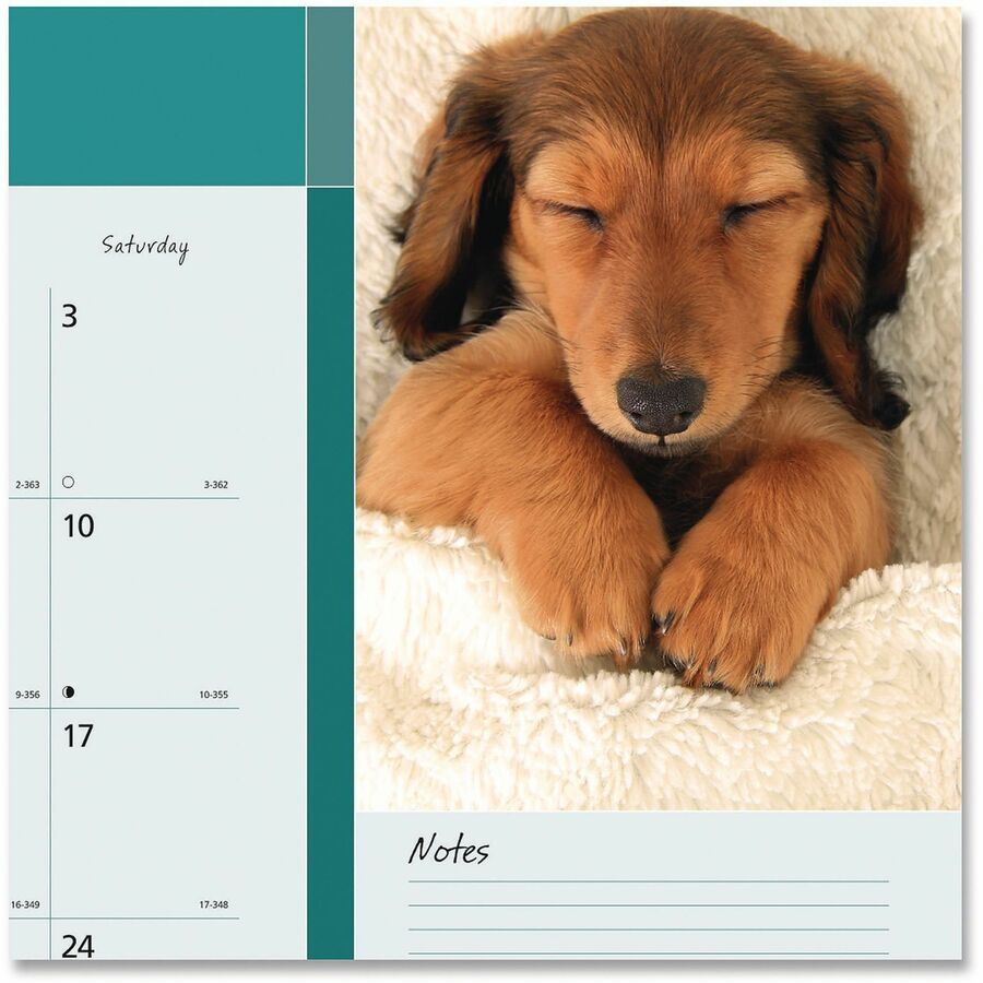 Pets Collection Monthly Desk Pad, Puppies Photography, 22 x 17, Black Binding, Clear Corners, 12-Month (Jan to Dec): 2024