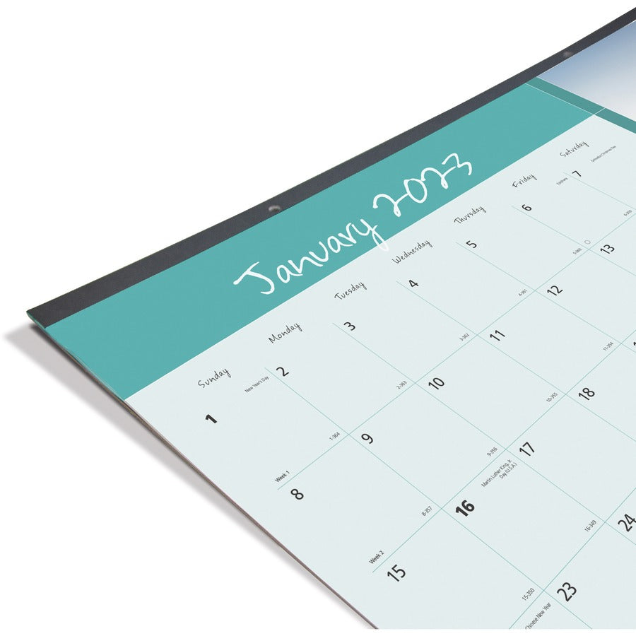 Pets Collection Monthly Desk Pad, Puppies Photography, 22 x 17, Black Binding, Clear Corners, 12-Month (Jan to Dec): 2024