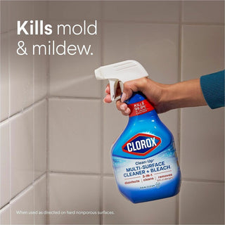 Clorox Clean-Up All Purpose Cleaner with Bleach - For Multipurpose - 32 fl oz (1 quart) - Rain Clean Scent - 9 / Carton - Deodorize, Disinfectant, Easy to Use - Multi