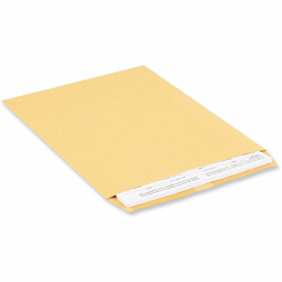 Catalog Envelope, 28 lb Bond Weight Kraft, #12 1/2, Square Flap, Gummed Closure, 9.5 x 12.5, Brown Kraft, 250/Box
