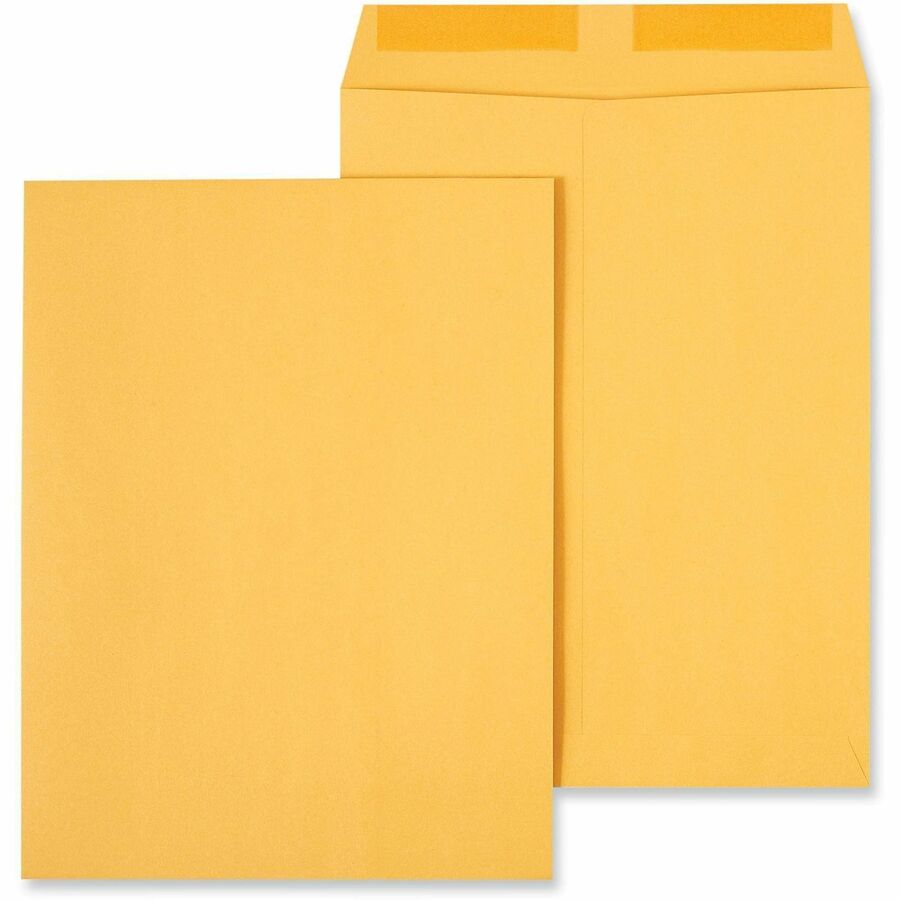 Catalog Envelope, 28 lb Bond Weight Kraft, #12 1/2, Square Flap, Gummed Closure, 9.5 x 12.5, Brown Kraft, 250/Box