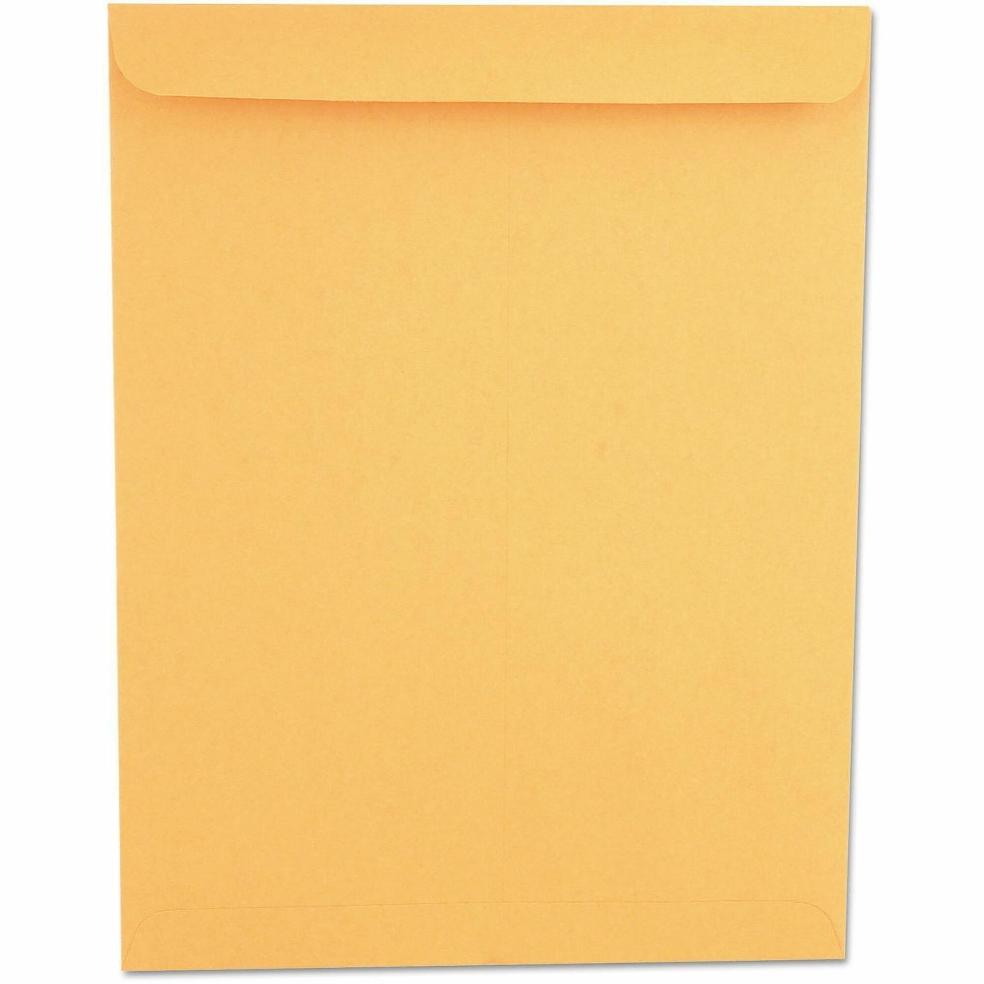 Catalog Envelope, 28 lb Bond Weight Kraft, #13 1/2, Square Flap, Gummed Closure, 10 x 13, Brown Kraft, 250/Box