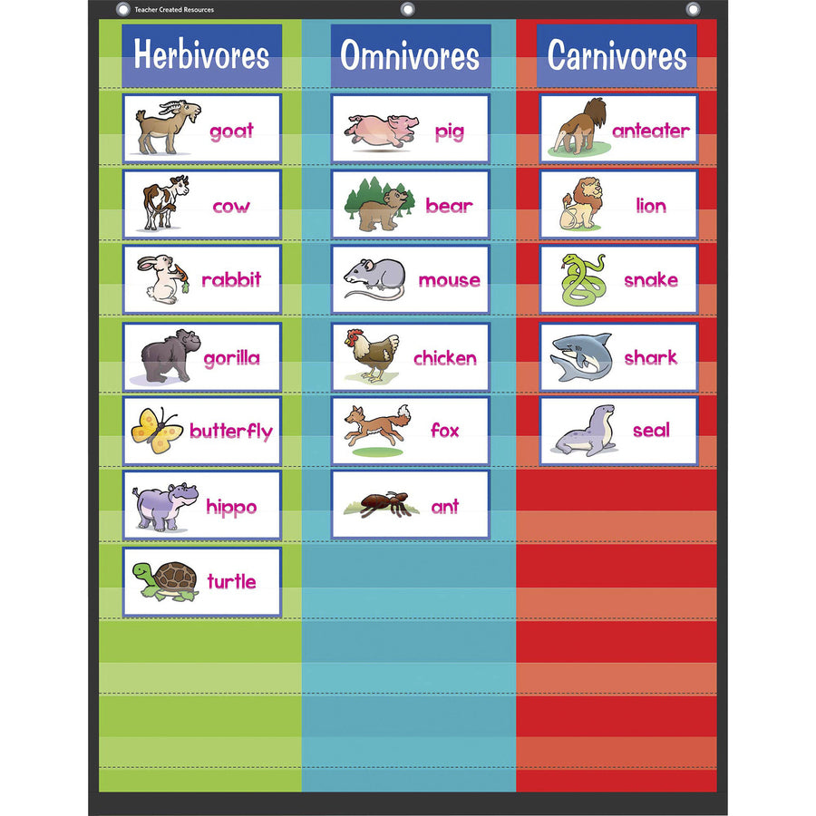 teacher-created-resources-3-column-pocket-chart-theme-subject-learning-1-each_tcr20324 - 2
