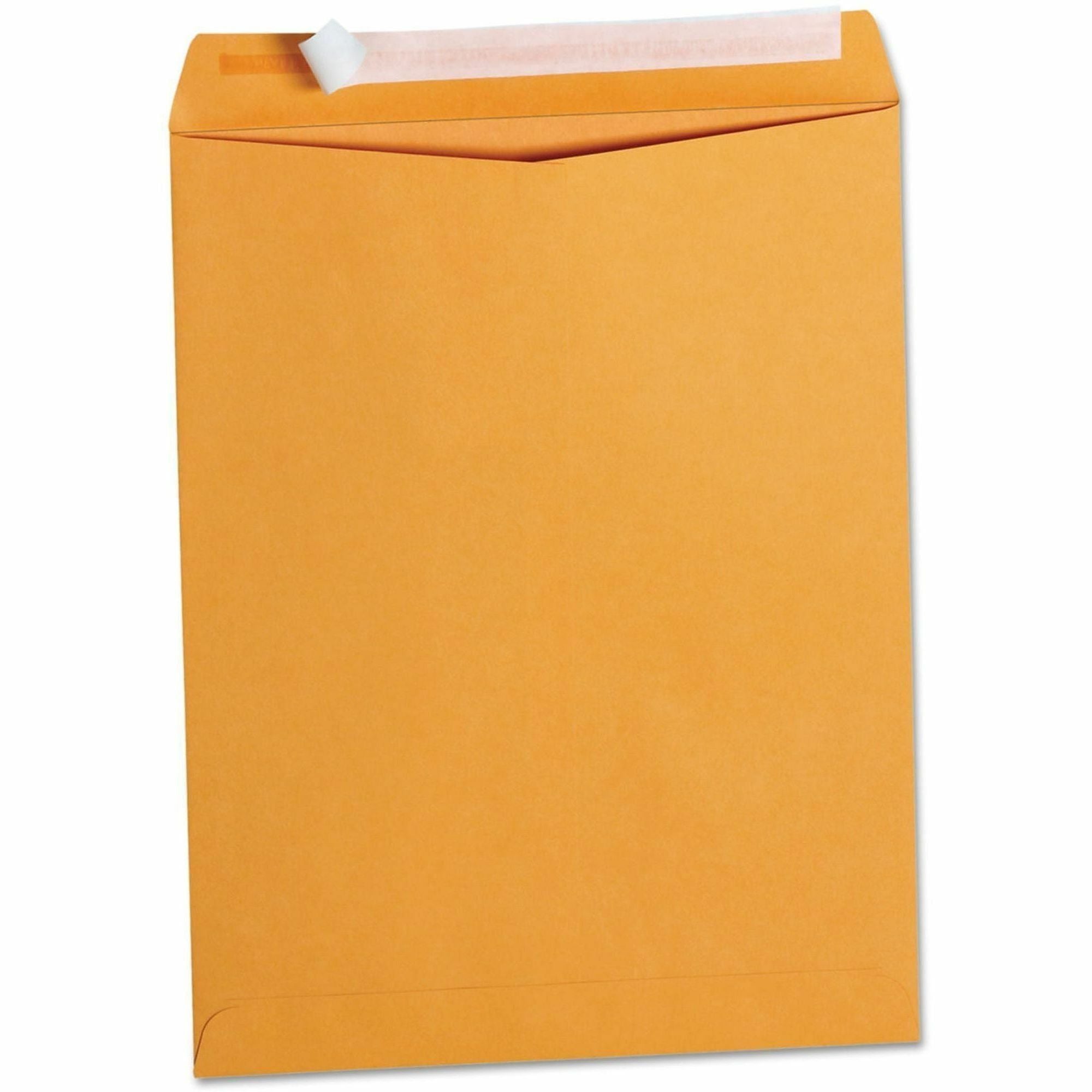 Peel Seal Strip Catalog Envelope, #13 1/2, Square Flap, Self-Adhesive Closure, 10 x 13, Natural Kraft, 100/Box