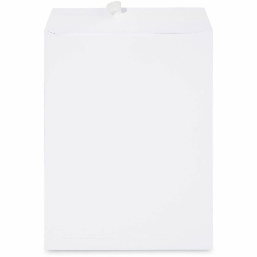 Catalog Envelope, 24 lb Bond Weight Paper, #13 1/2, Square Flap, Gummed Closure, 10 x 13, White, 250/Box
